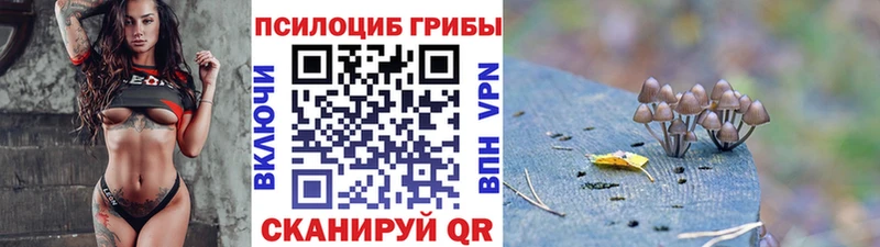 Галлюциногенные грибы MAGIC MUSHROOMS  Аткарск 